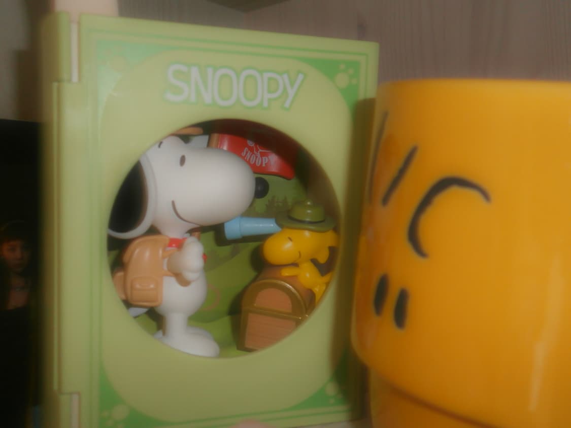 올림푸스 VH210 핑크 (소프트 포커스/작례O) 상품이미지9