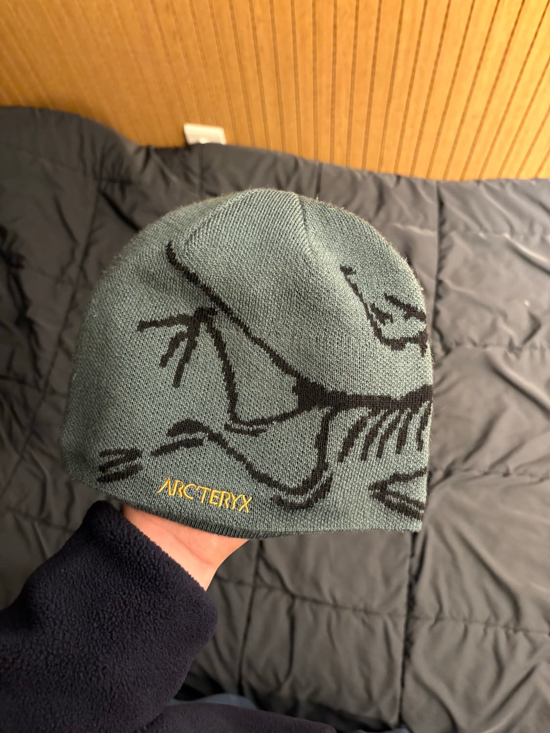 아크테릭스 버드 헤드 토크 다크 매직 비니 상품이미지2