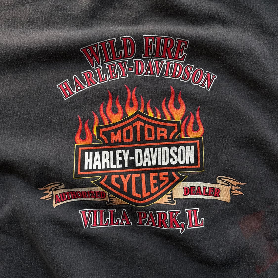 00s 할리 데이비슨 모터사이클 이글 스웻셔츠 상품이미지4