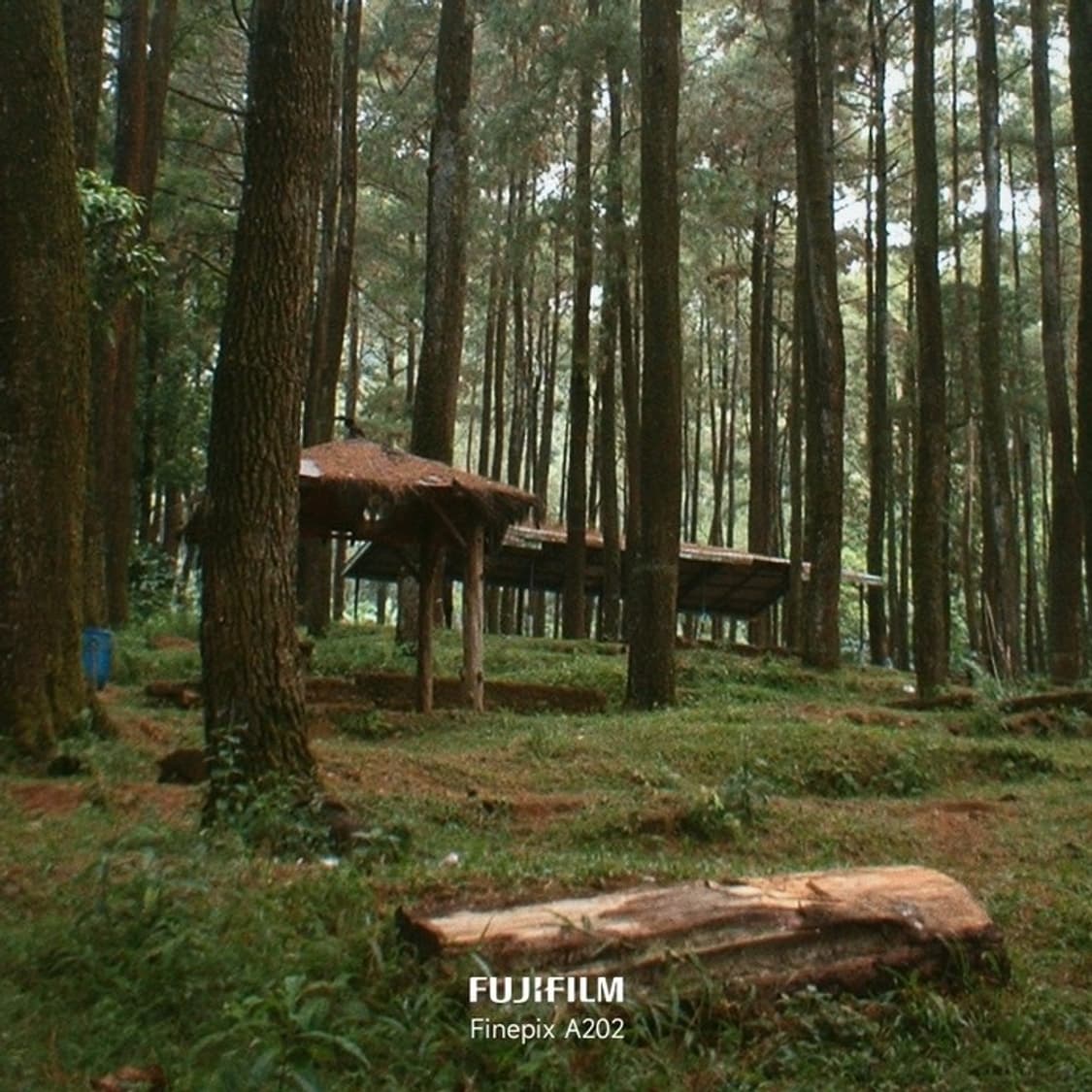 후지필름 파인픽스 a202 상품이미지3