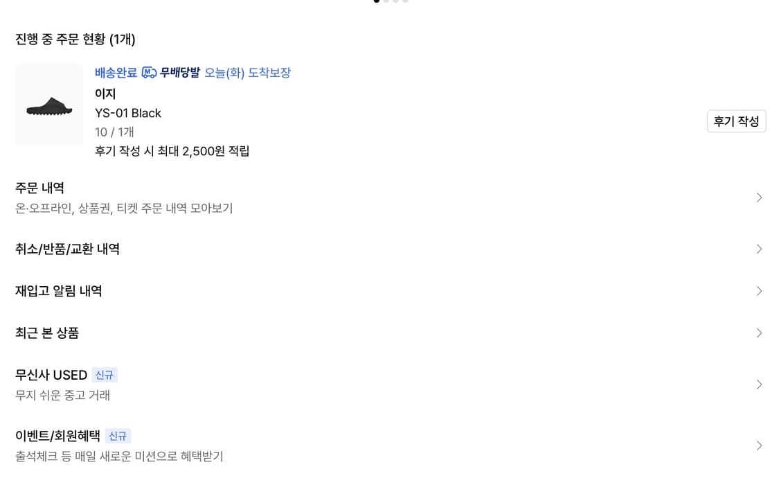 이지 ys-01 size 10 상품이미지2