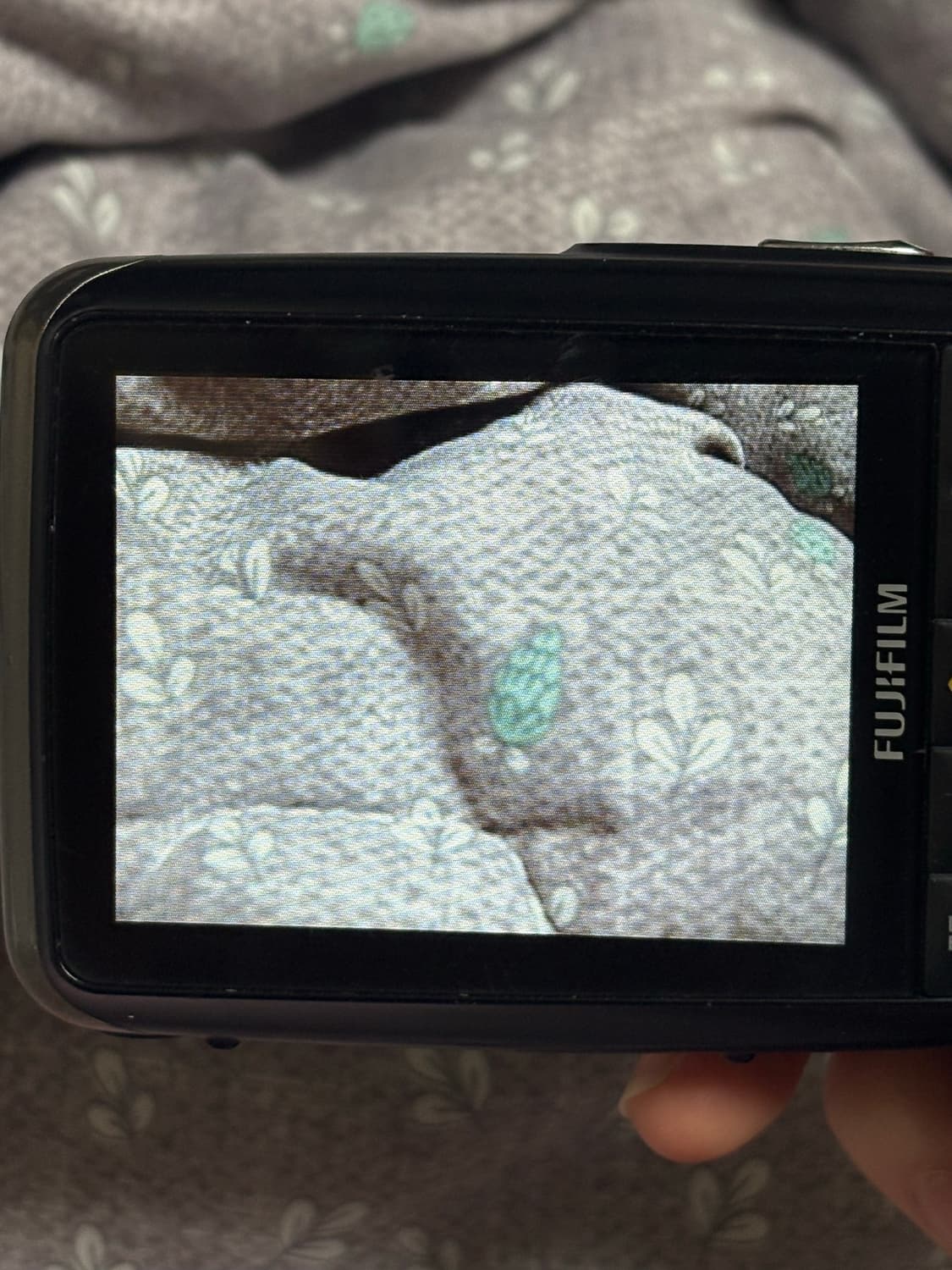 (트와이스 나연 디카) 후지필름 파인픽스 z33wp 상품이미지4