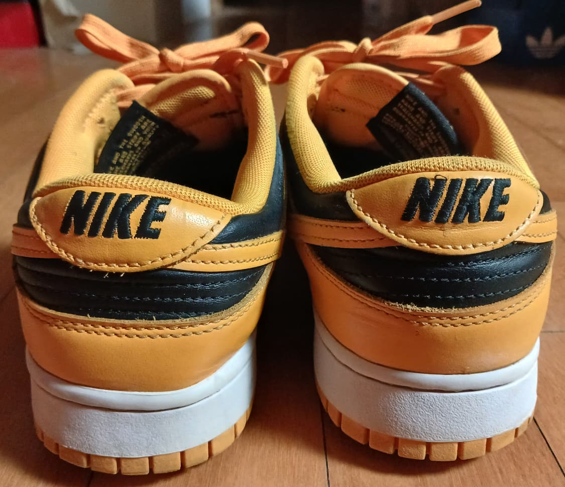 나이키 덩크로우 골드로드 270 상품이미지5