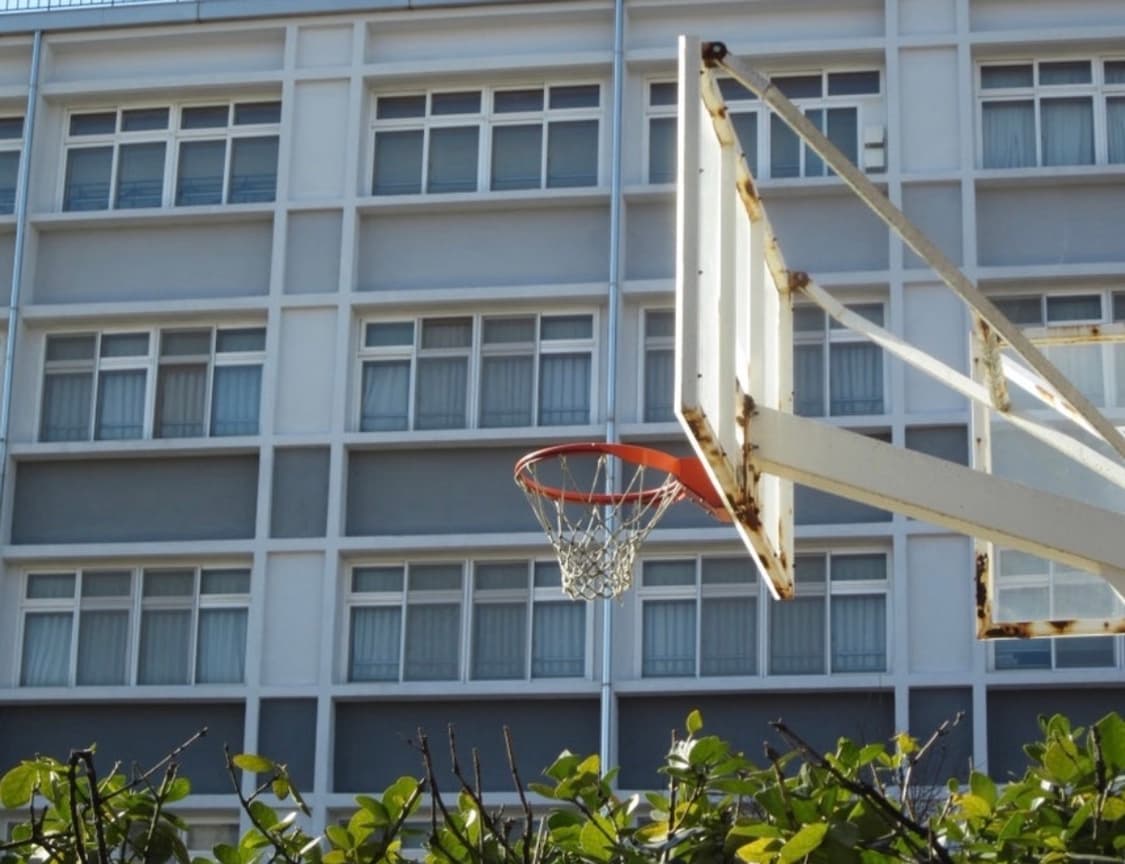 [예지픽] Canon IXY 200f (=IXUS 105 익서스 105) 상품이미지8