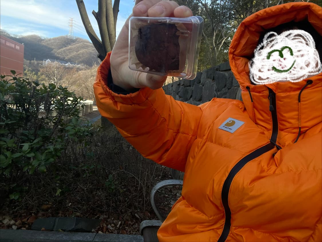 칼하트 WIP 아스펜 패딩 교신 러셋 오렌지 알파 그린 상품이미지3