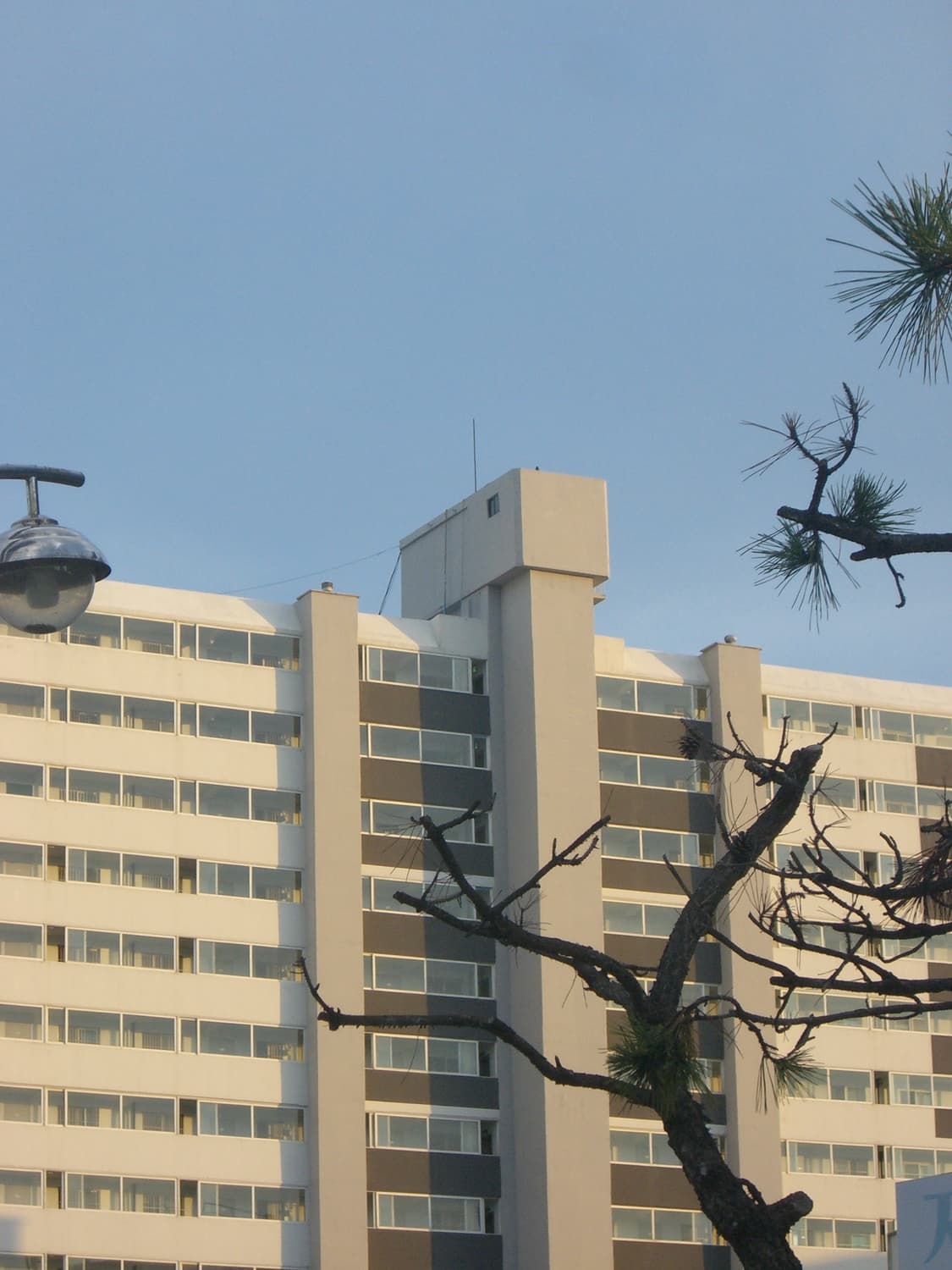 빈티지디카 카시오 엑슬림 s600 판매합니다 상품이미지7