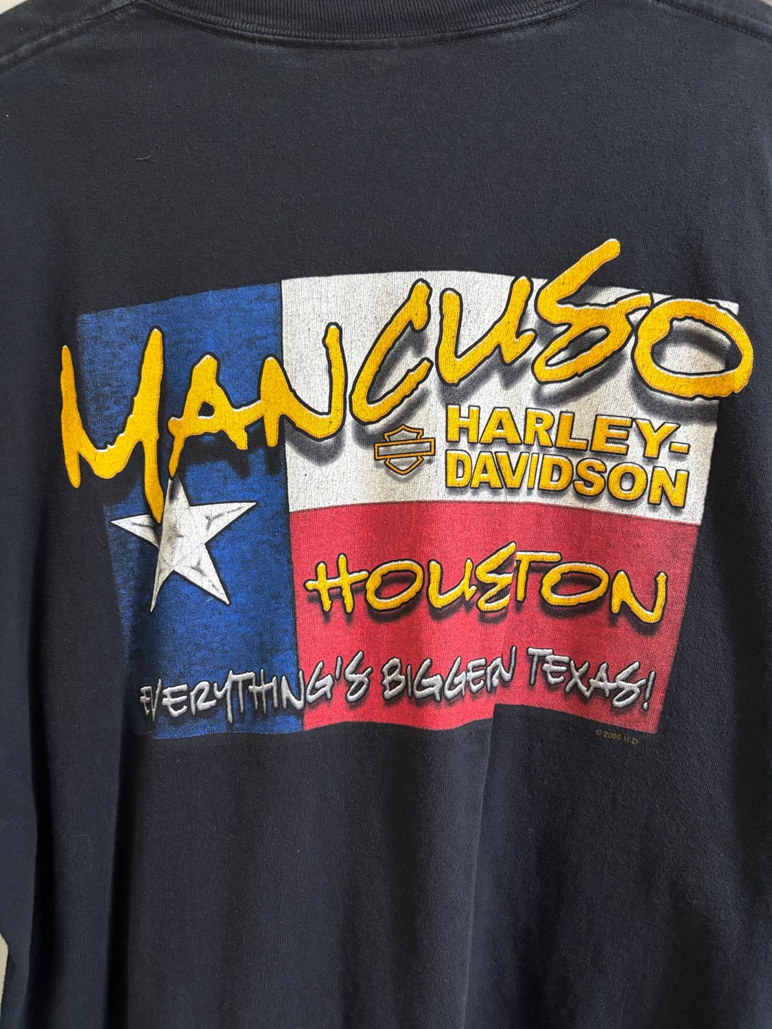 빈티지 할리데이비슨 블루 플레임 다이스 롱슬리브 상품이미지5