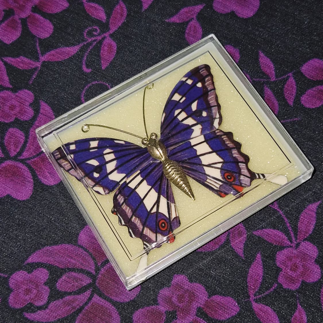 70s 일본 엔틱 황제 나비 빅 브로치 상품이미지4