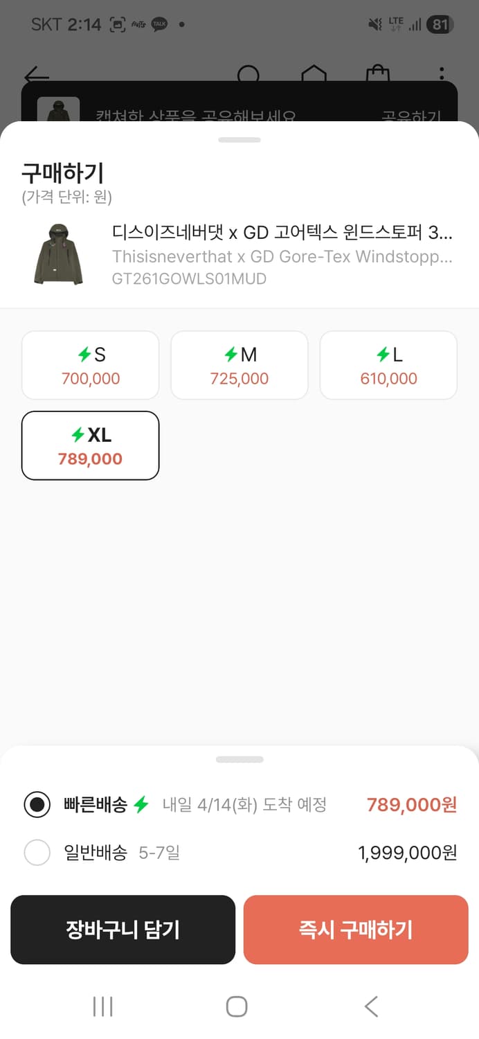 디스이즈네버댓 x GD 고어텍스 윈드스토퍼 3L 아이코노그래피 자켓 머드 상품이미지2