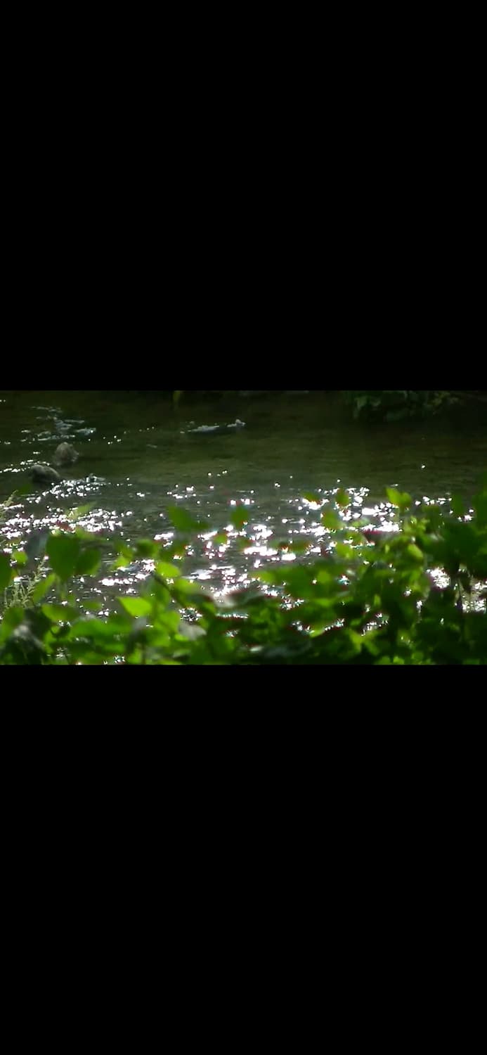 카리나캠코더) jvc gz-hm460 상품이미지7