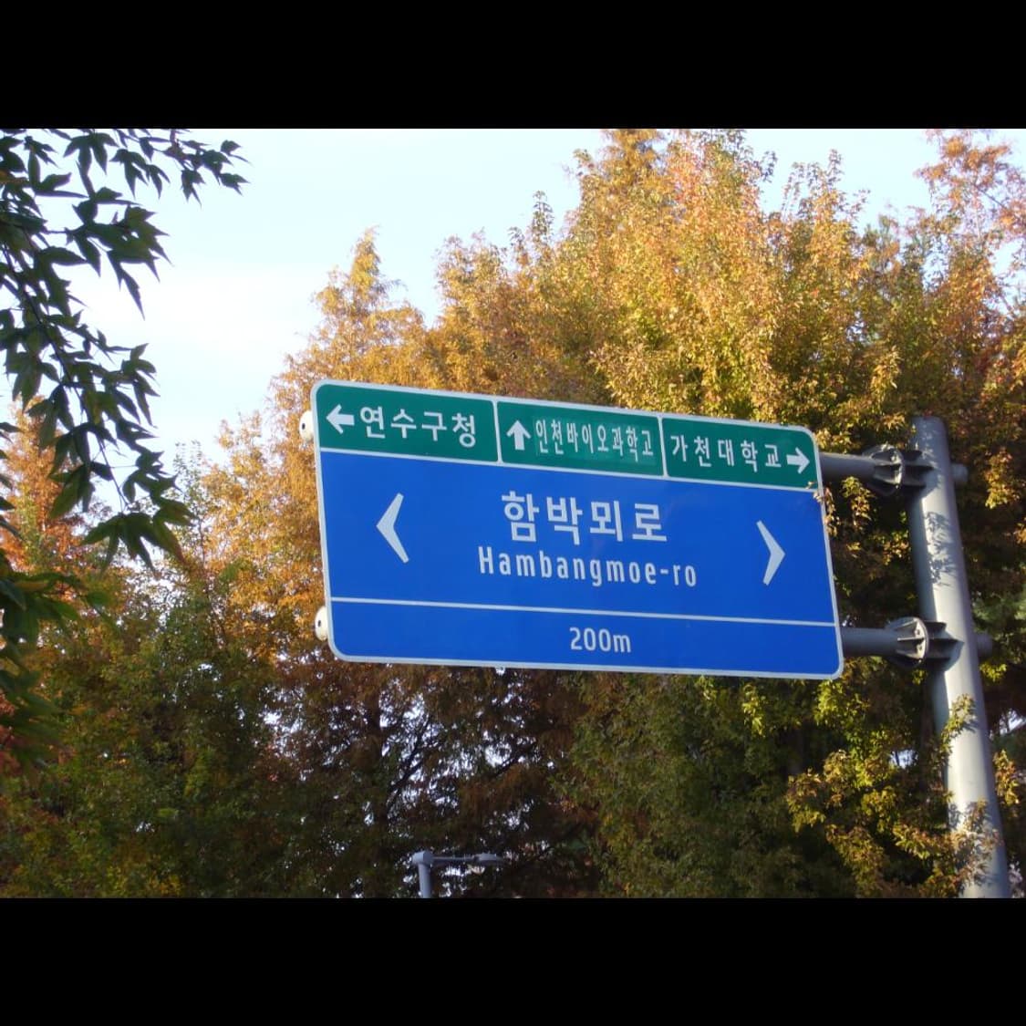 파나소닉 DMC-FX9  실버 메탈릭✨ 빈티지 디카 디지털카메라 상품이미지9