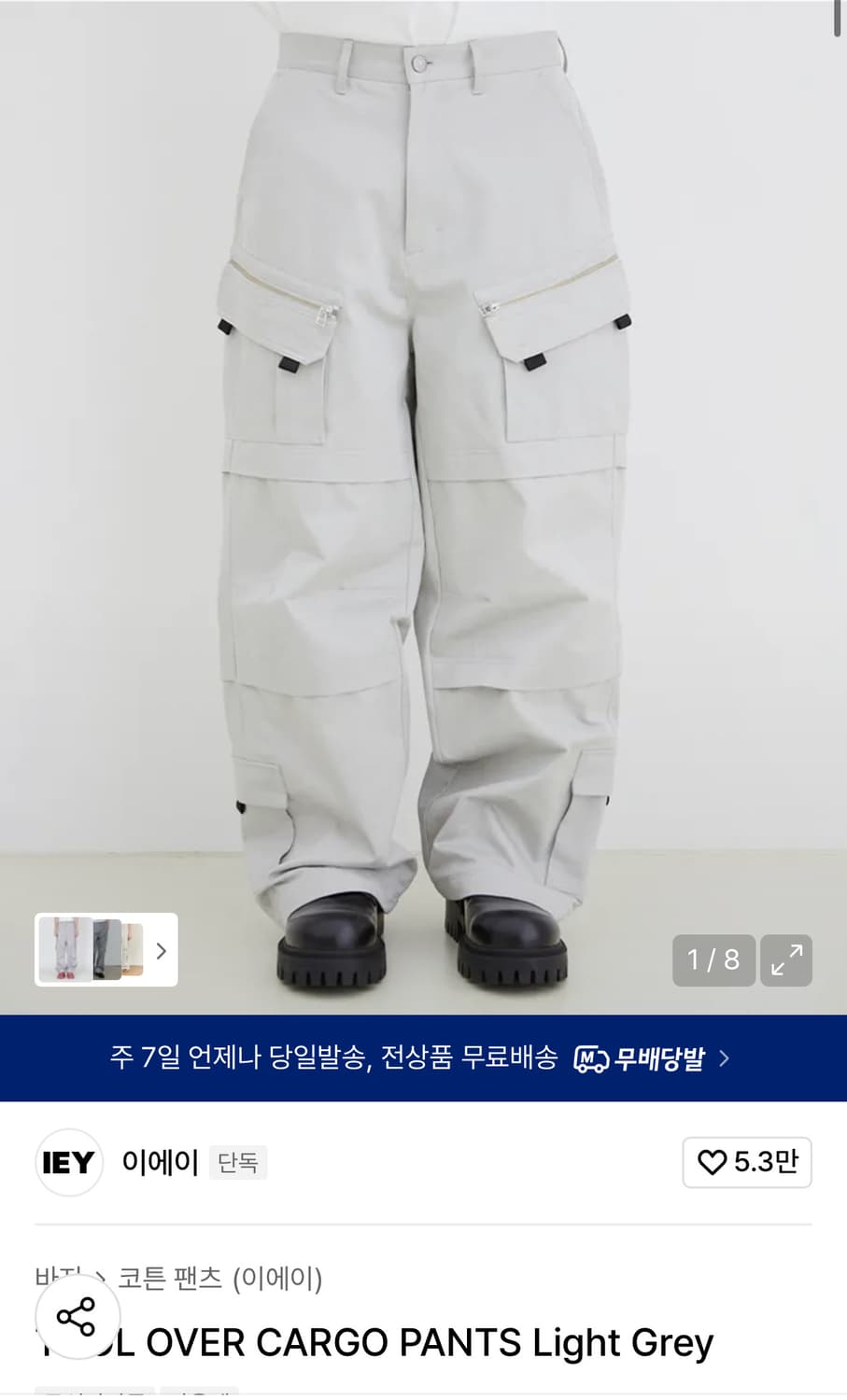이에이 툴 오버 카고 팬츠 (L) 상품이미지1