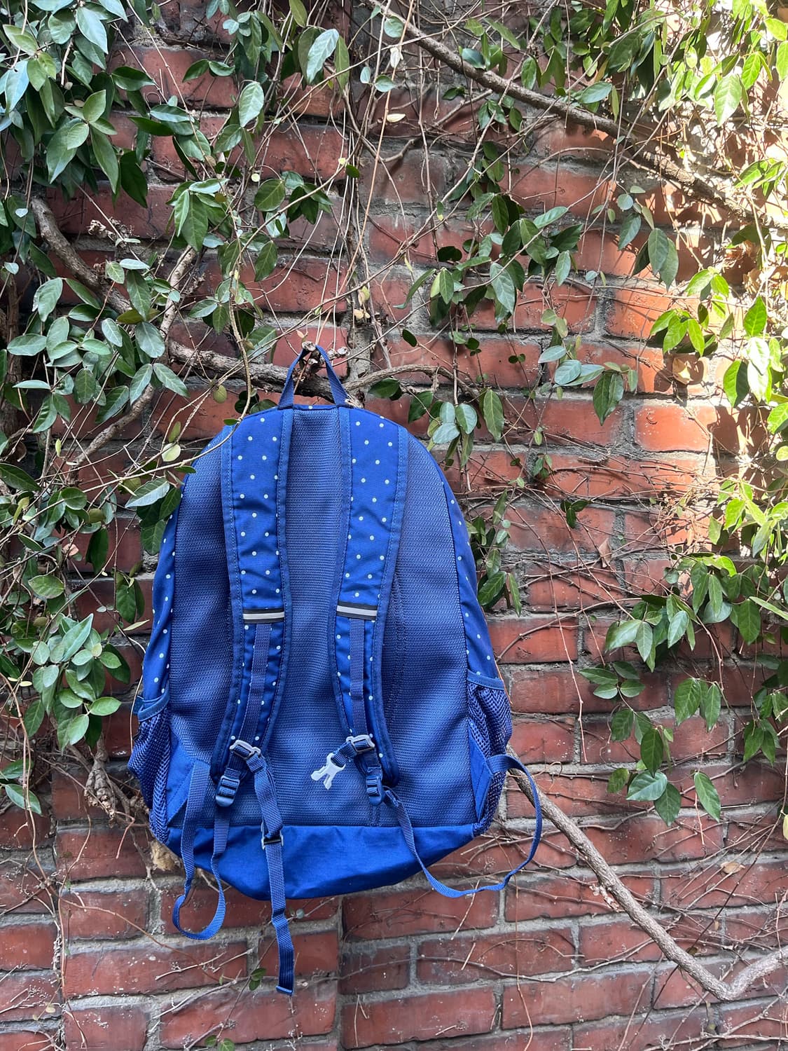 coleman 네이비 도트 백팩 상품이미지7