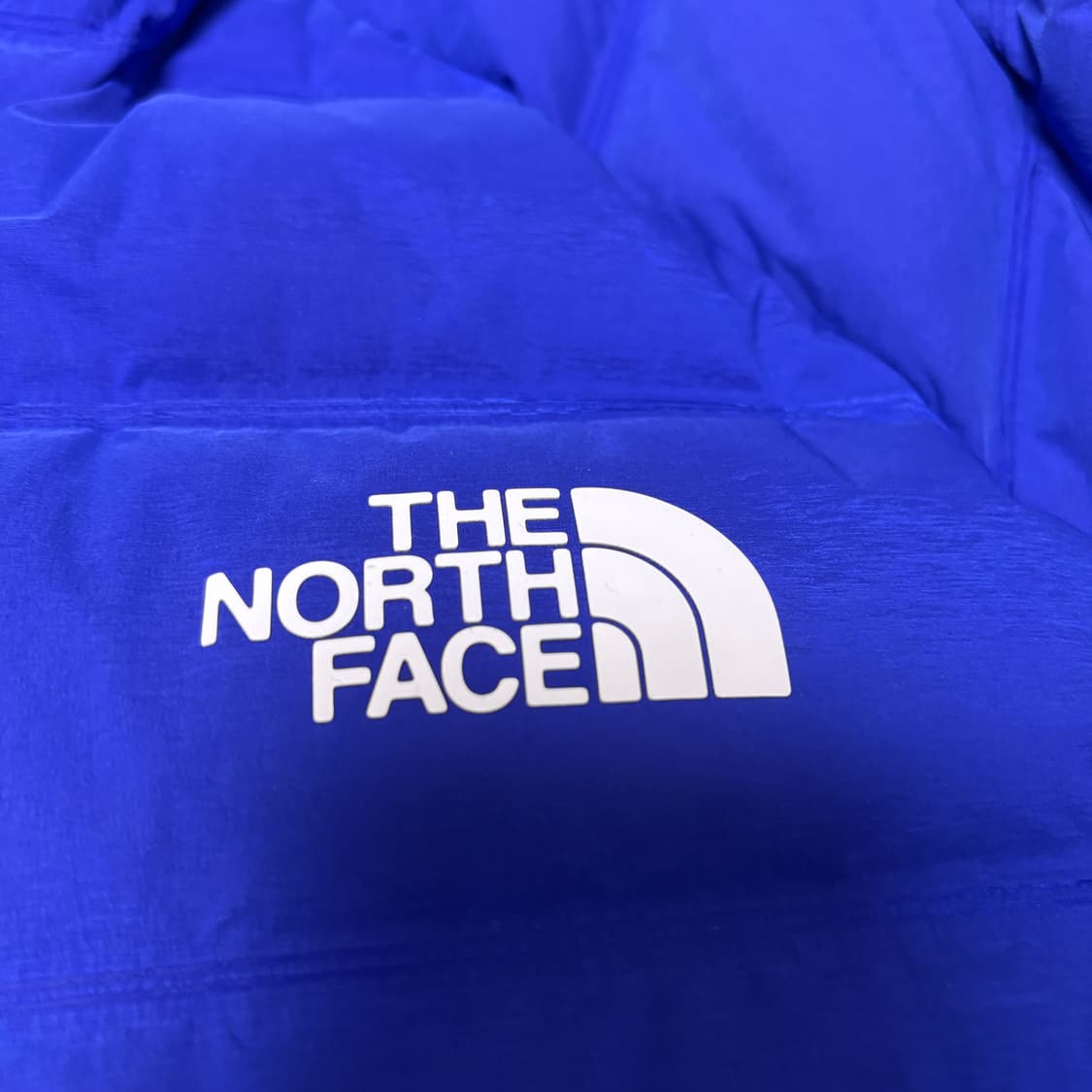 노스페이스 RMST 리마스터 후디드 다운 패딩 해외판 상품이미지5