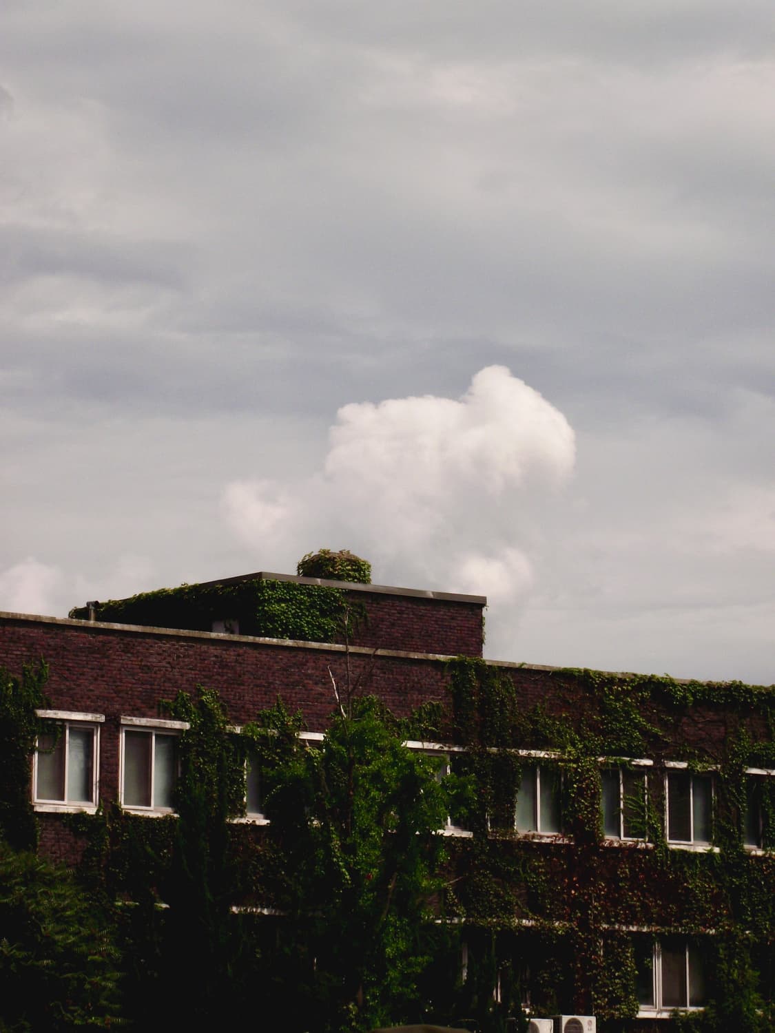 후지필름 파인픽스 S1700 디카 디지털 카메라 A급 상품이미지7