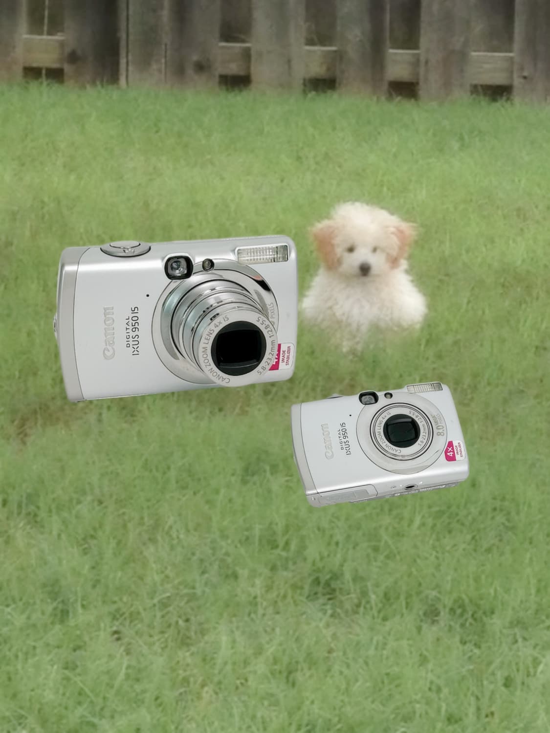 토모토모!) 캐논 익서스 950 is Ixus 빈티지 디카 상품이미지1