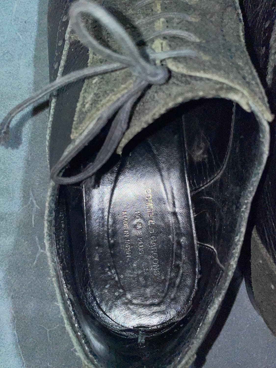 homme plus-oxford 상품이미지2