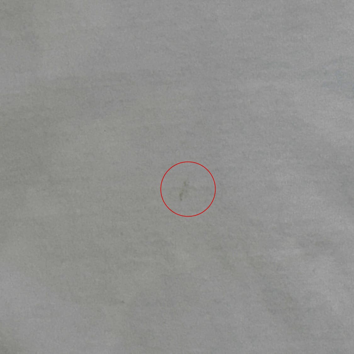 베이프 샤크 반팔 티셔츠 상품이미지10