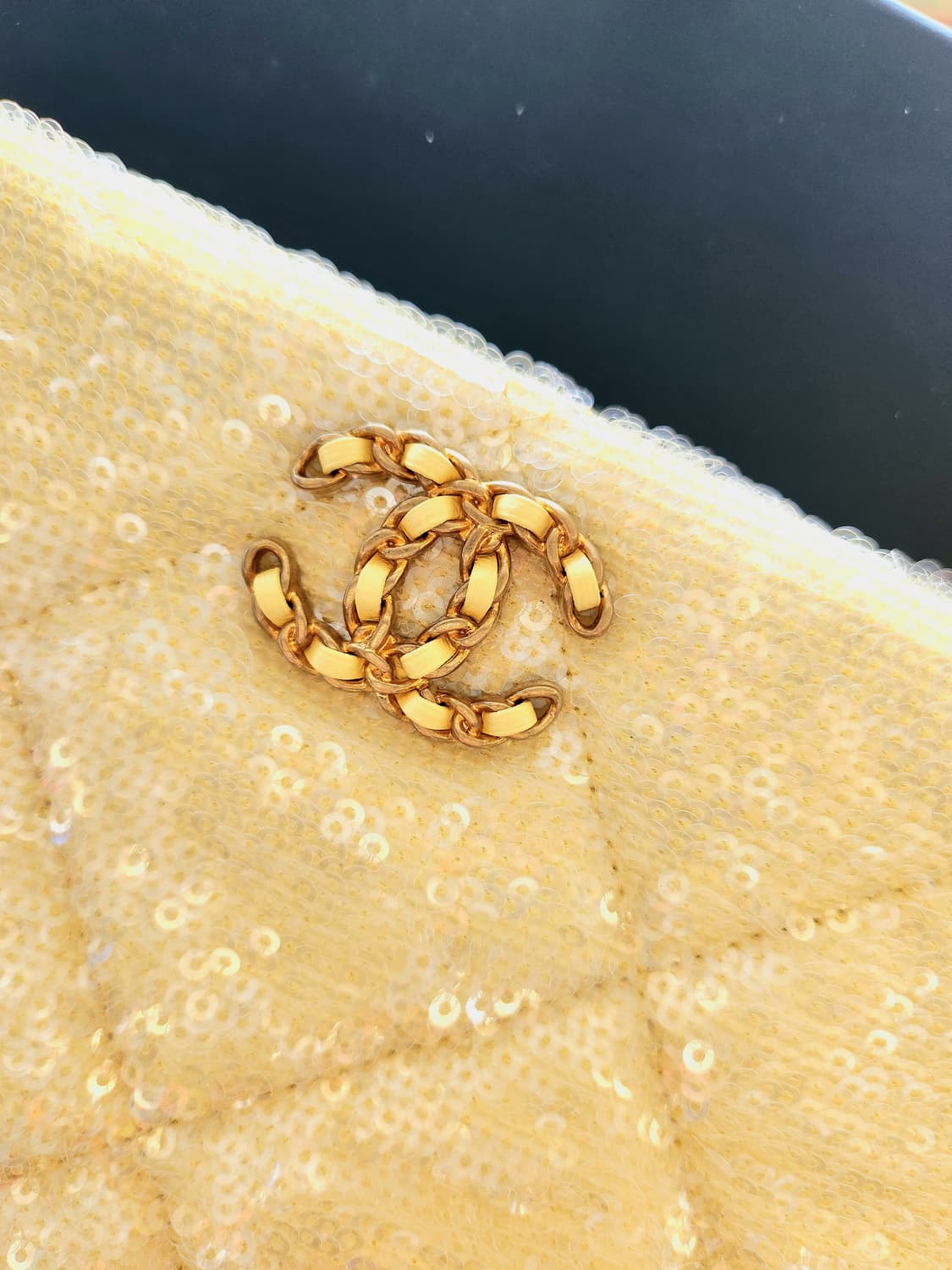 샤넬 19백 파우치 라지 상품이미지2