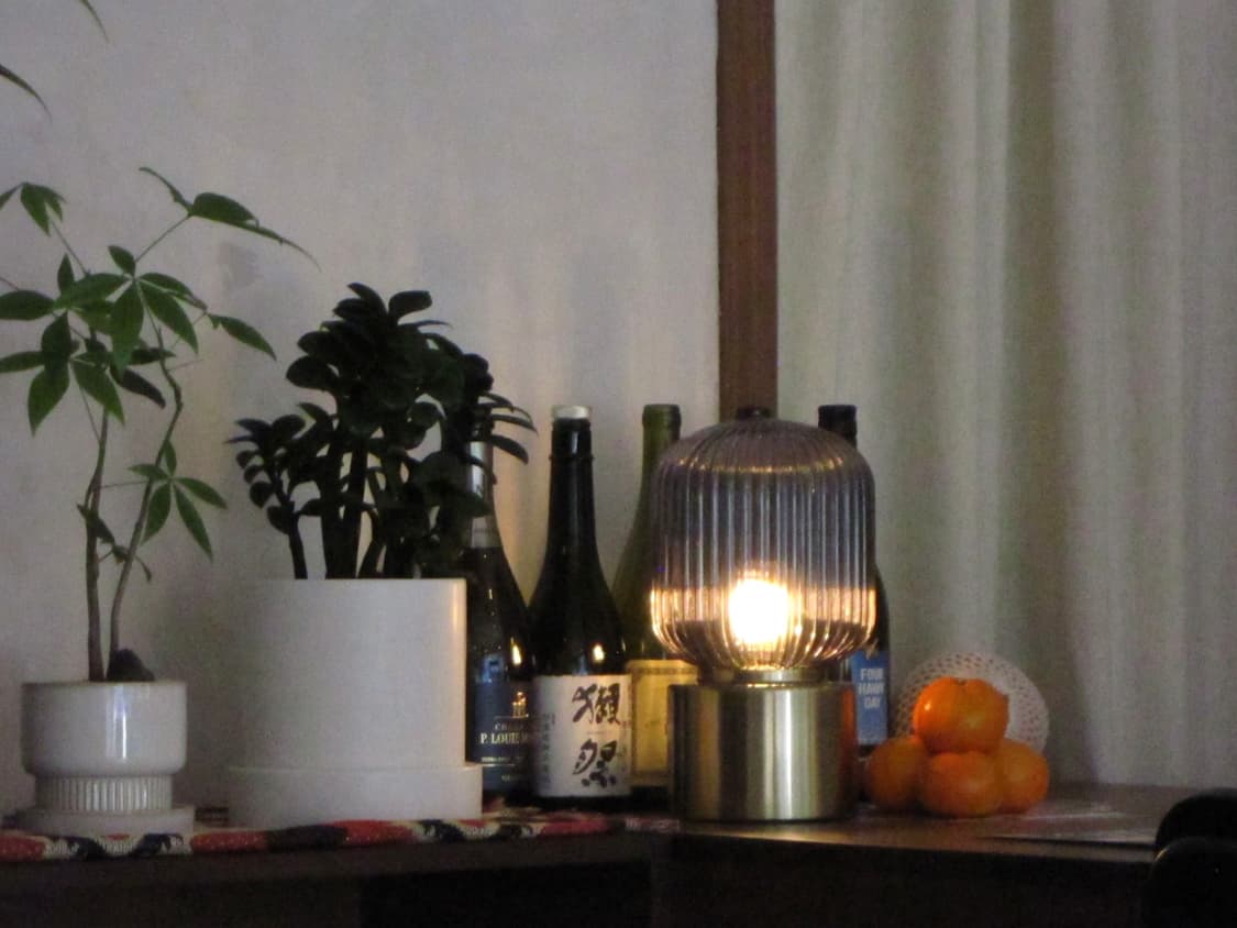 캐논 익서스 200 IS 실버 상품이미지7