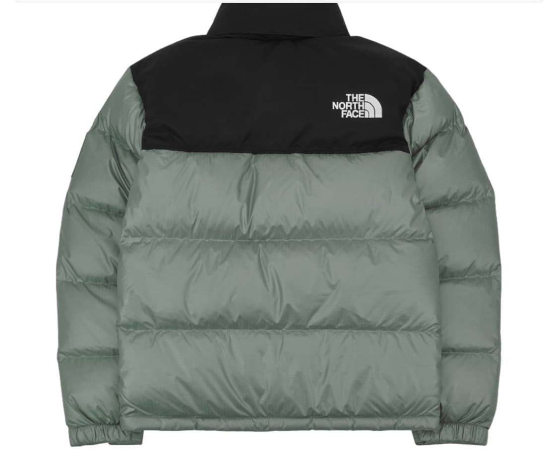 노스페이스 노벨티 눕시 다운 자켓 아보카도 상품이미지2
