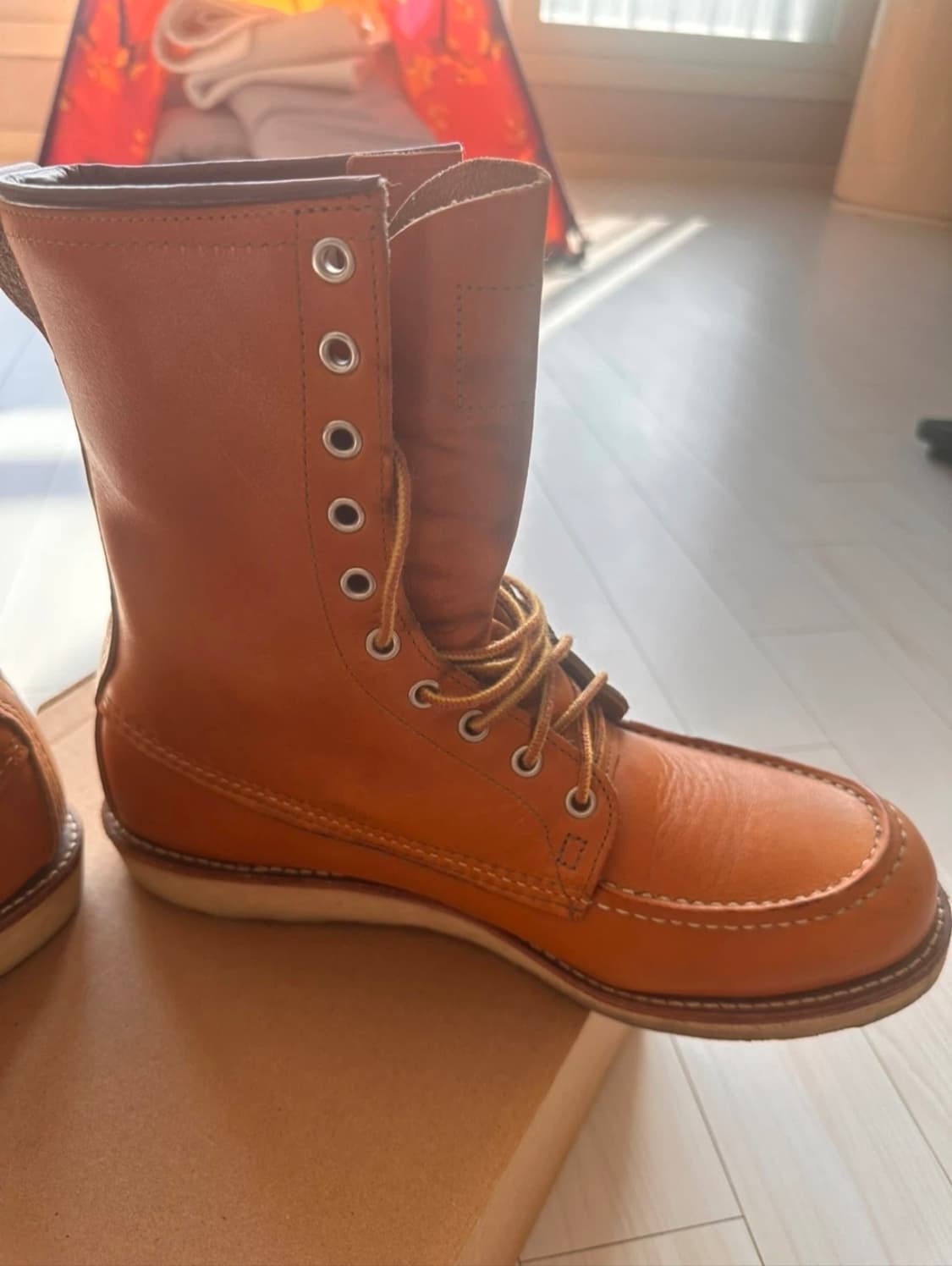 레드윙 9877 아이리쉬세터 275mm  상품이미지7