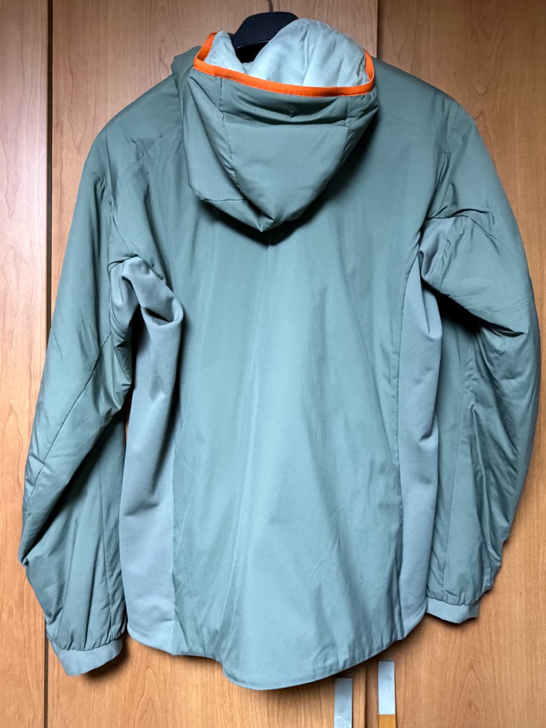 아크테릭스 아톰lt 후디 포리지 상품이미지5