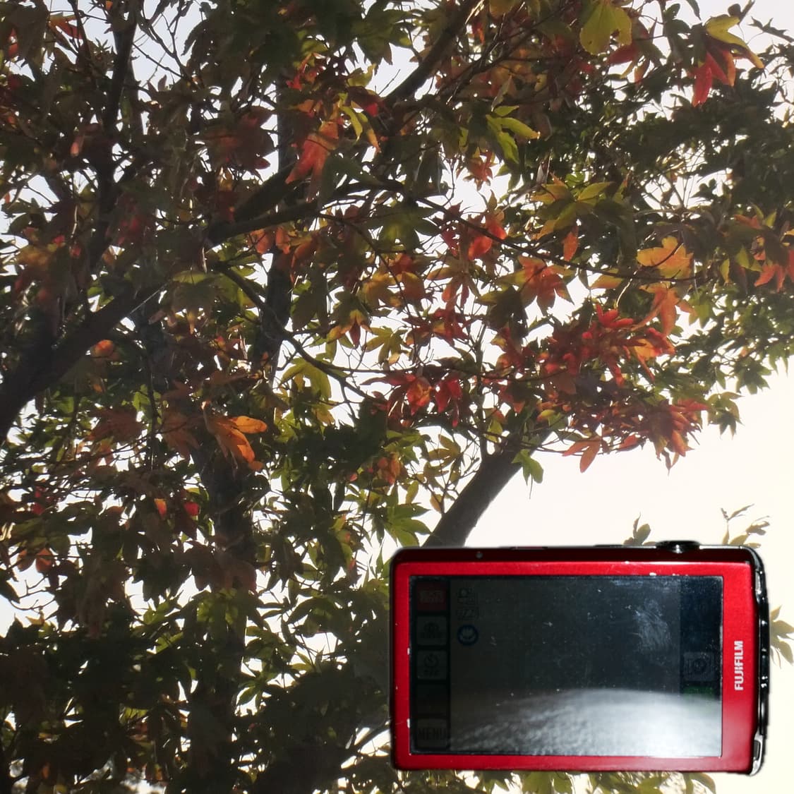 Finepix Z800exr (✨A급/🎁풀패키지) 상품이미지3