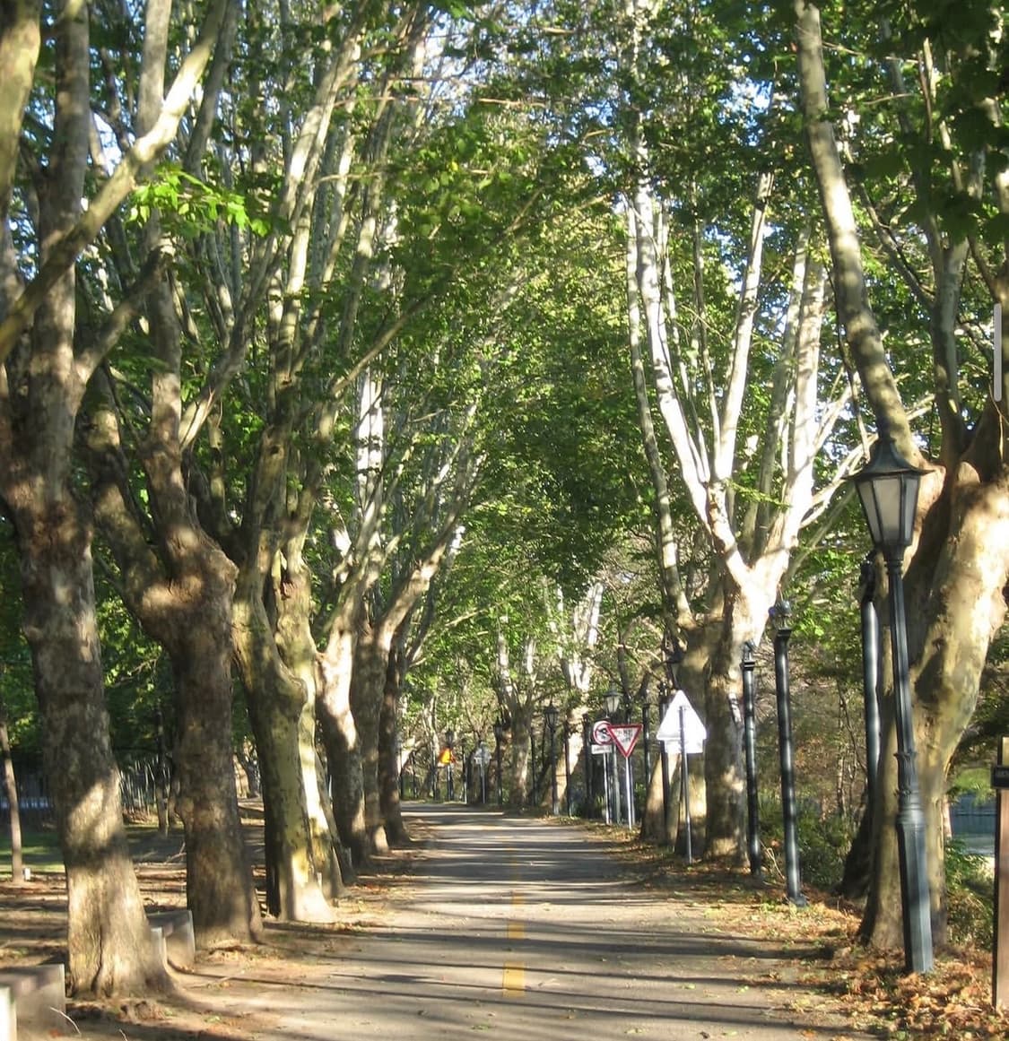 ⭐️아이유디카⭐️Canon ixy55 (IXUS 50) 작례O 상품이미지6