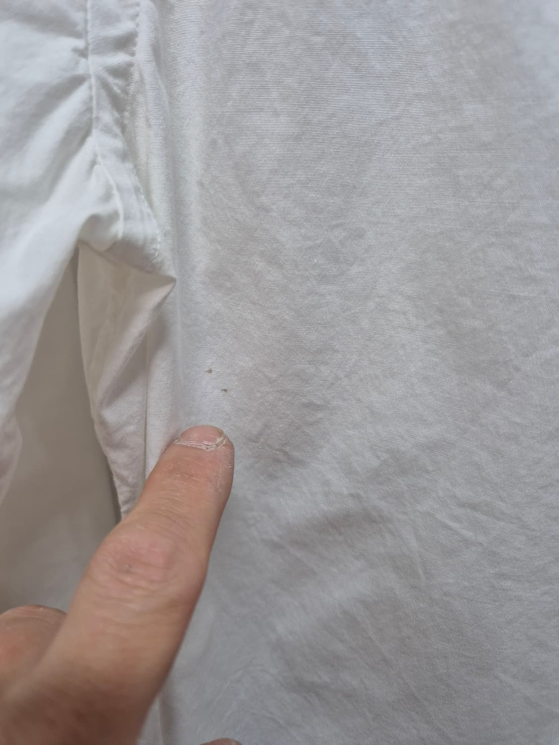 폴로 화이트 셔츠 여성 큐알가능 상품이미지3