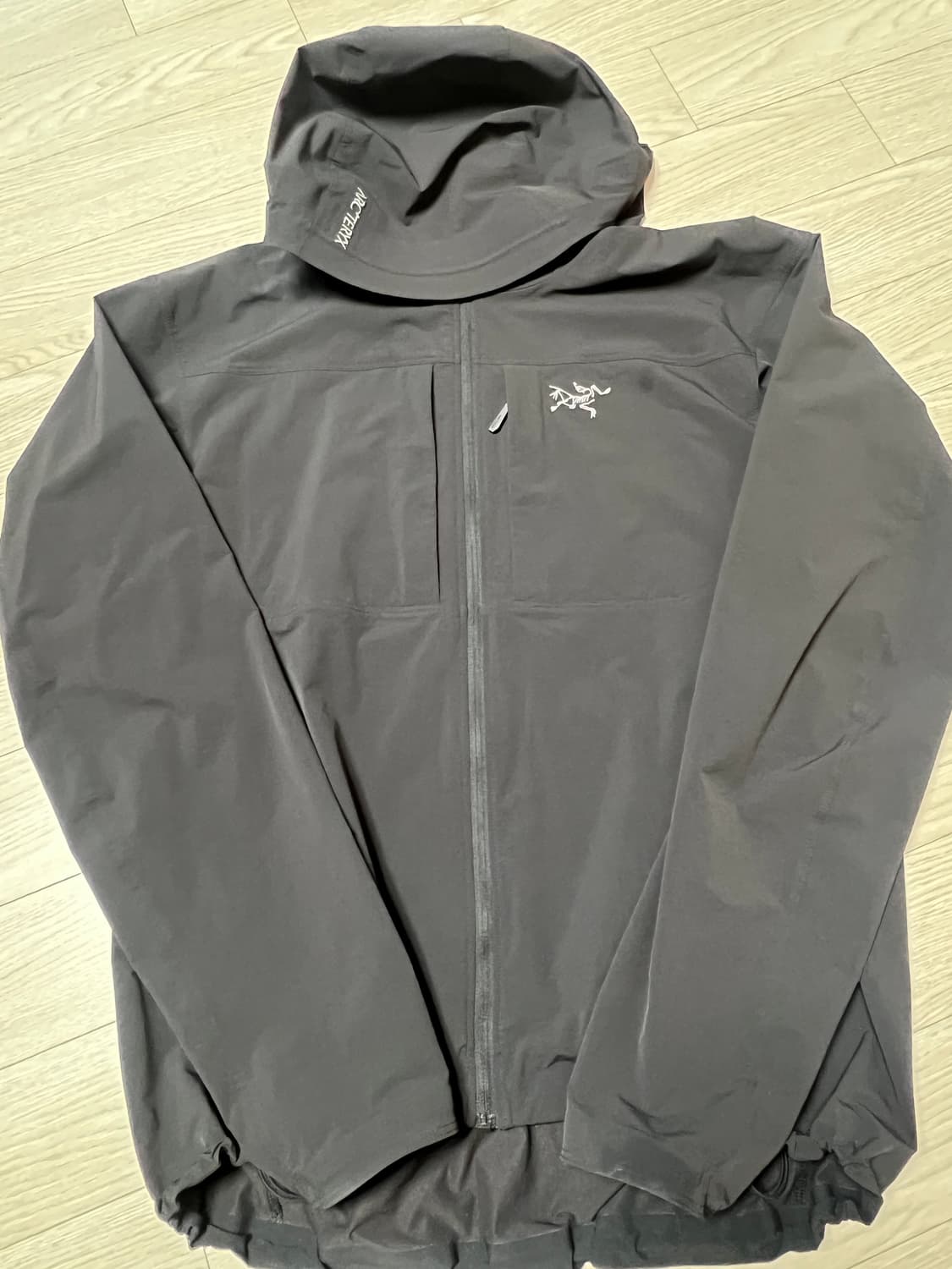 [M] 아크테릭스 감마 라이트웨이트 후디 블랙 상품이미지3