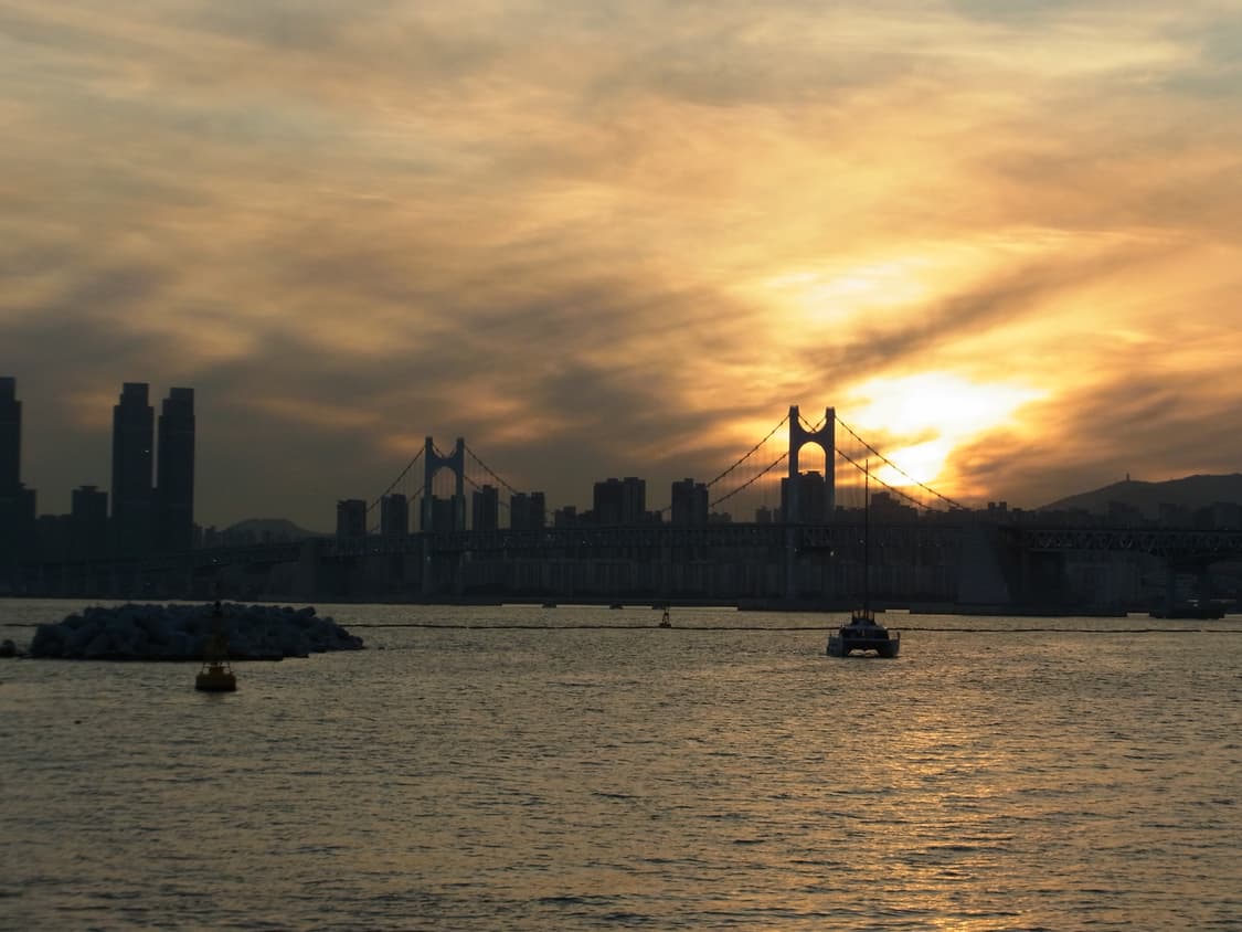 (작례첨부) 리코 RICOH CX4 상품이미지6