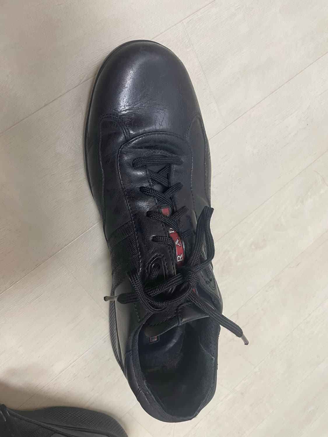 프라다 아메리카컵 270 상품이미지9