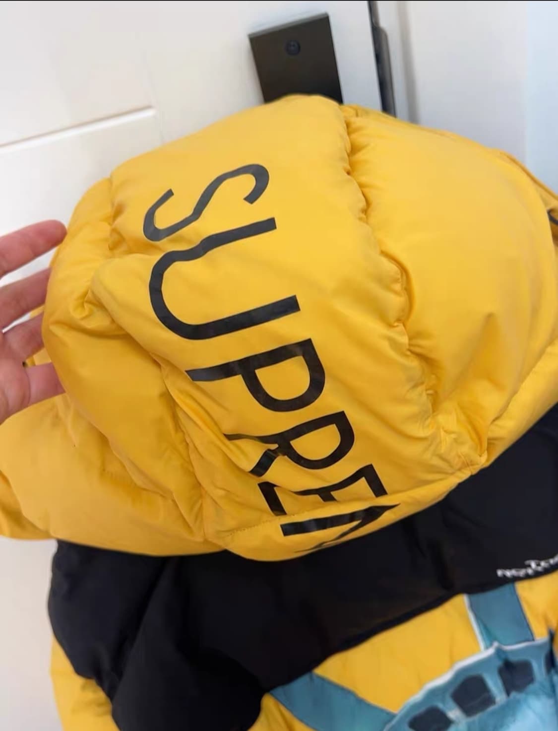 슈프림 노스페이스 자유의여신상 발토로 M 상품이미지7