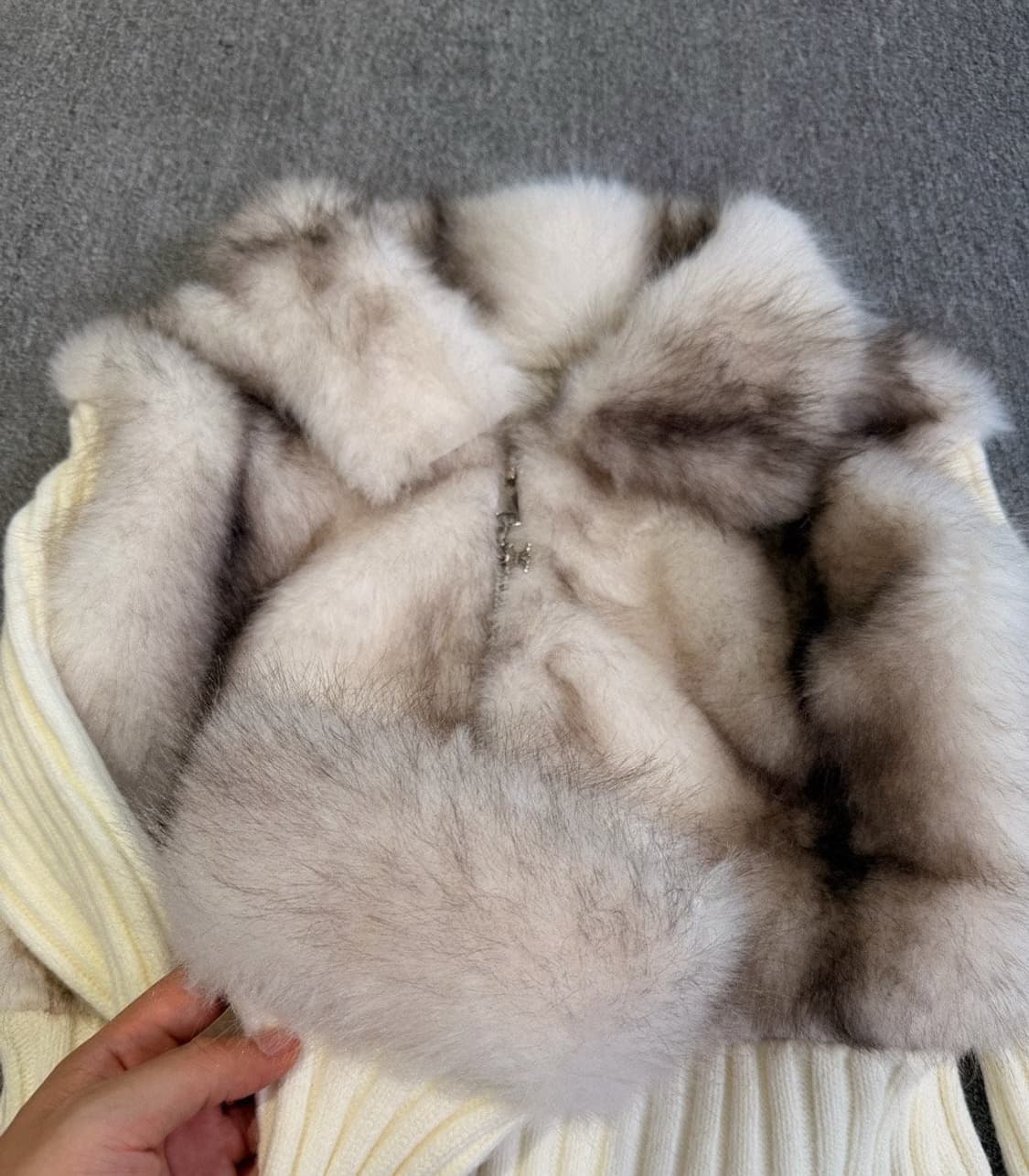 26SS 셀린느 트리밍니트집업 상품이미지9