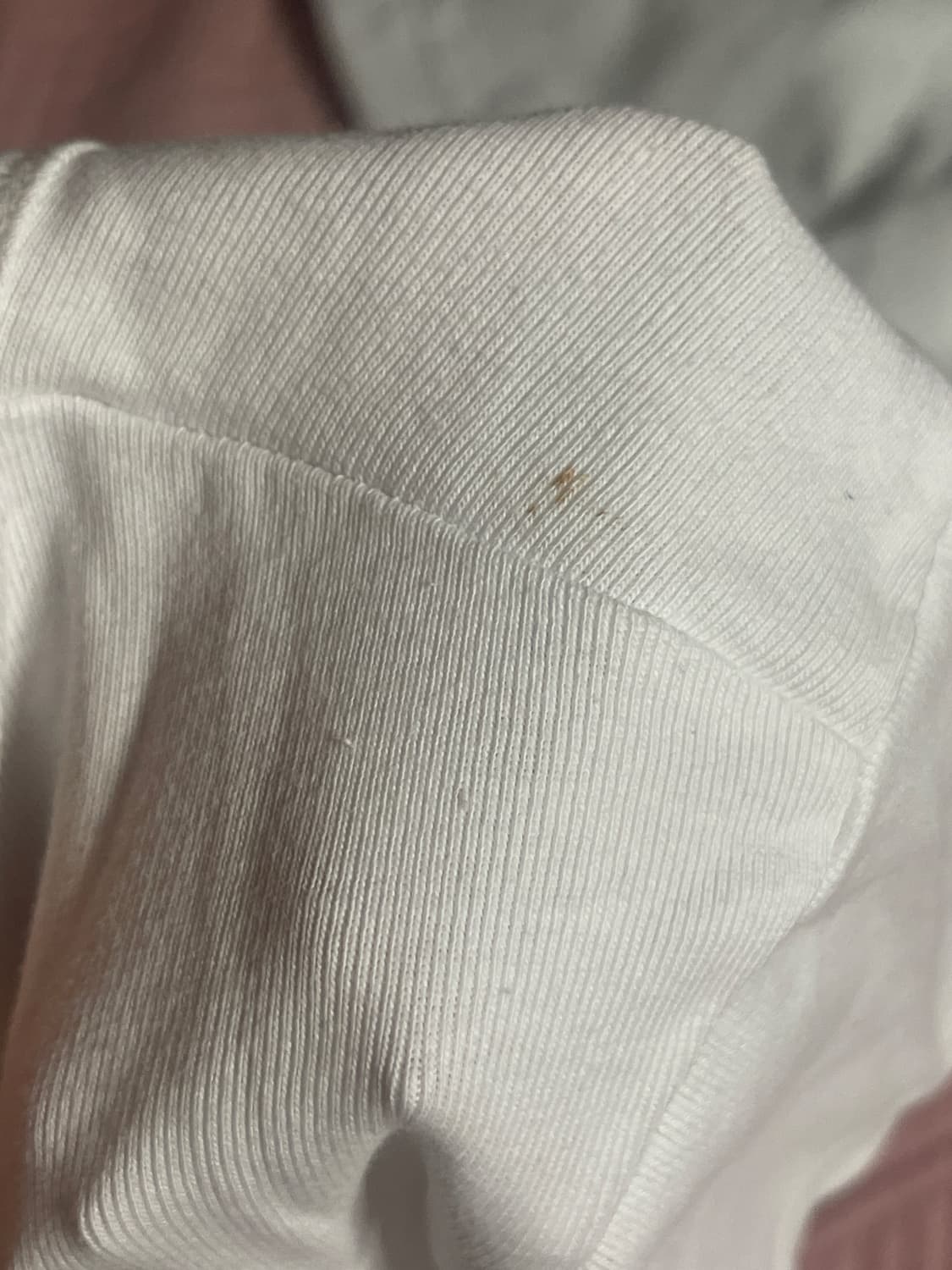 글로니 반팔 상품이미지3