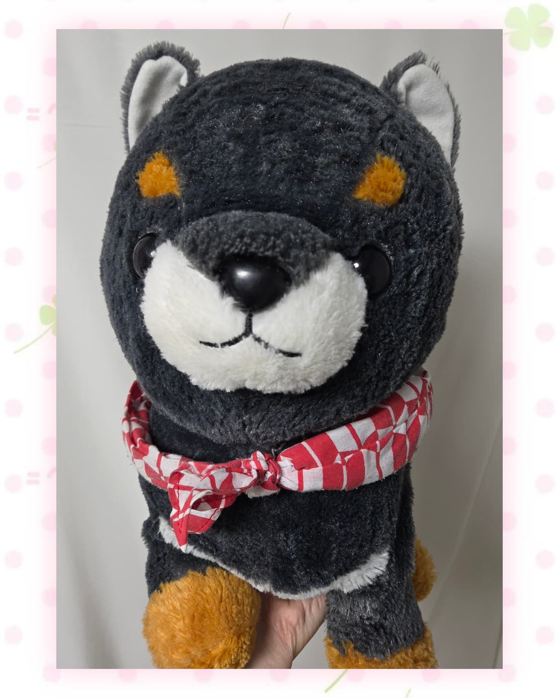 AMUSE 마메시바 마메지로 강아지 인형 상품이미지3