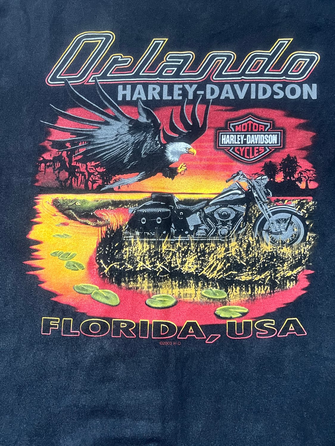 03’s Harley Davidson Orlando T Shirt
 상품이미지4