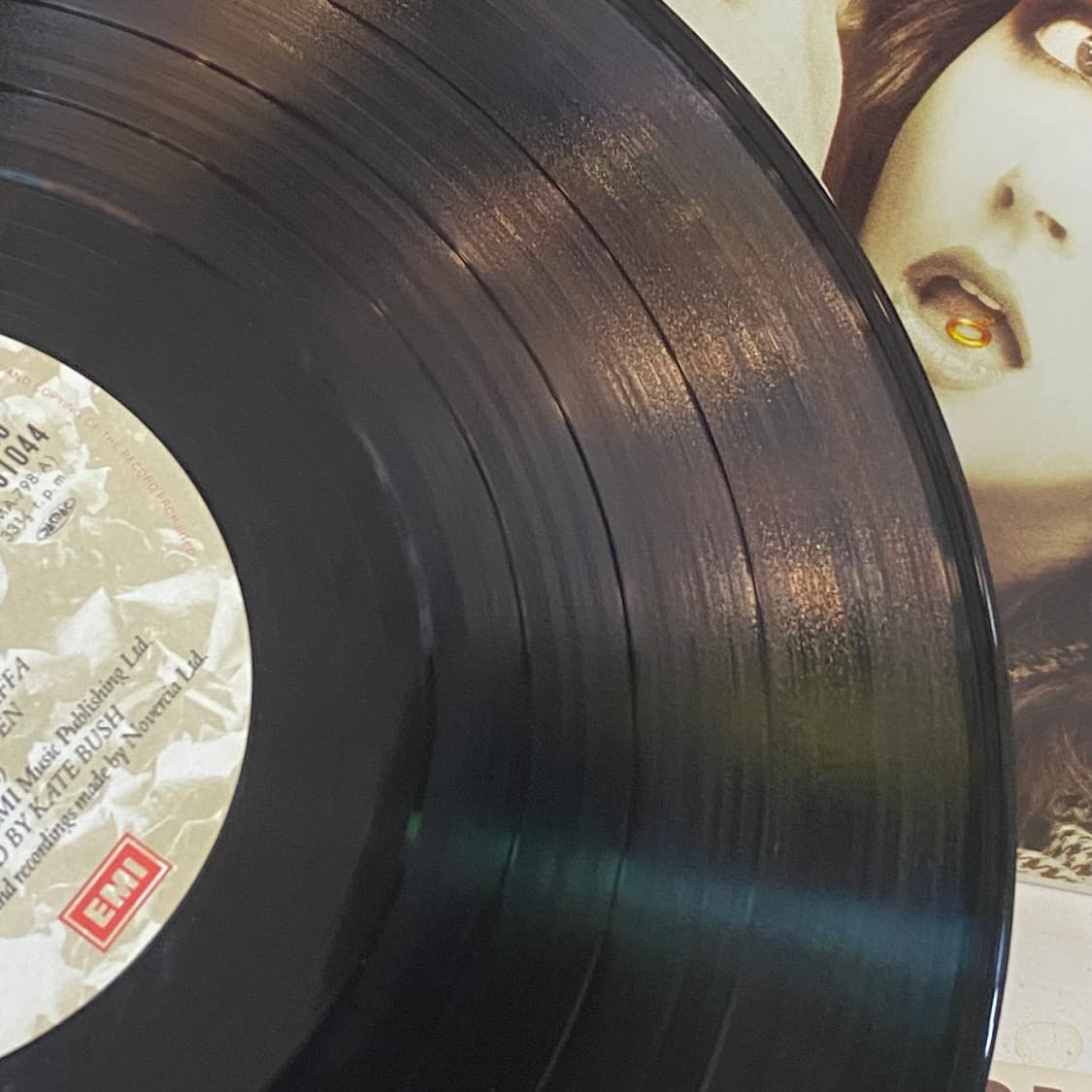 (LP-초민트시리즈) Kate Bush - The Dreaming 상품이미지6