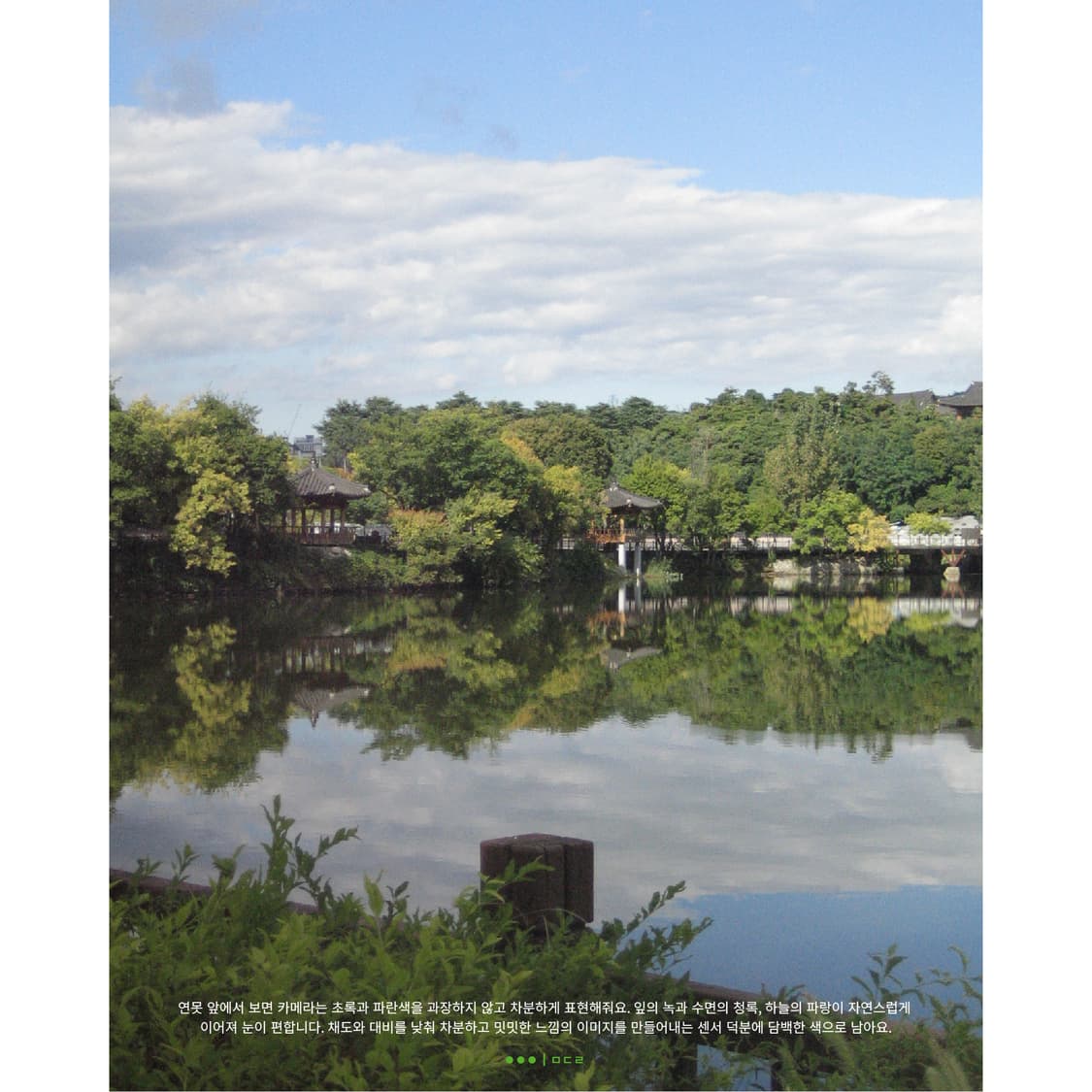 Canon IXY DIGITAL 50 상품이미지4