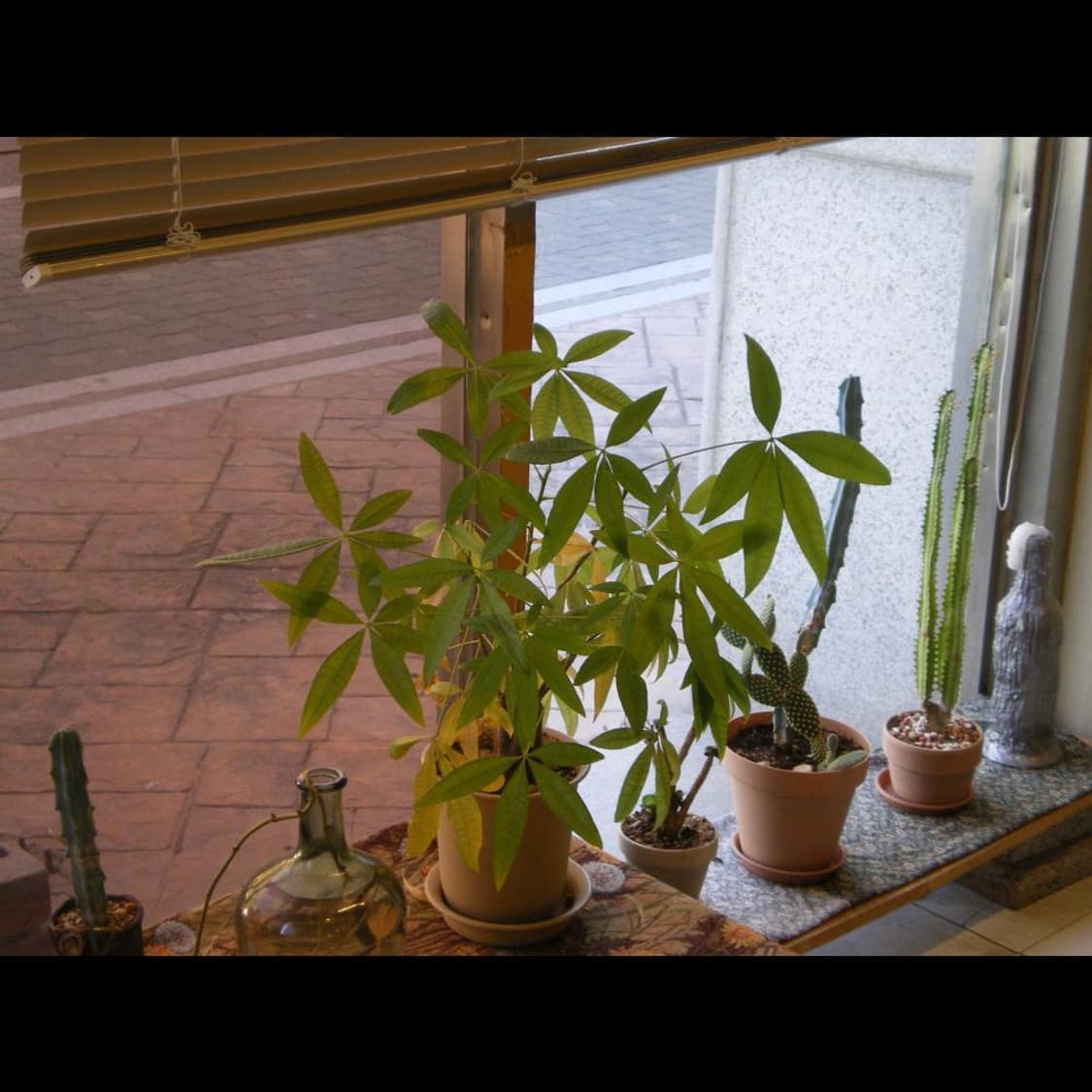 작례⭕️ 펜탁스 옵티오 M40 메탈 실버 상품이미지4