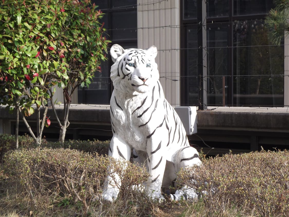 후지필름 파인픽스 JX280 디카 레드 (작례O) 상품이미지8