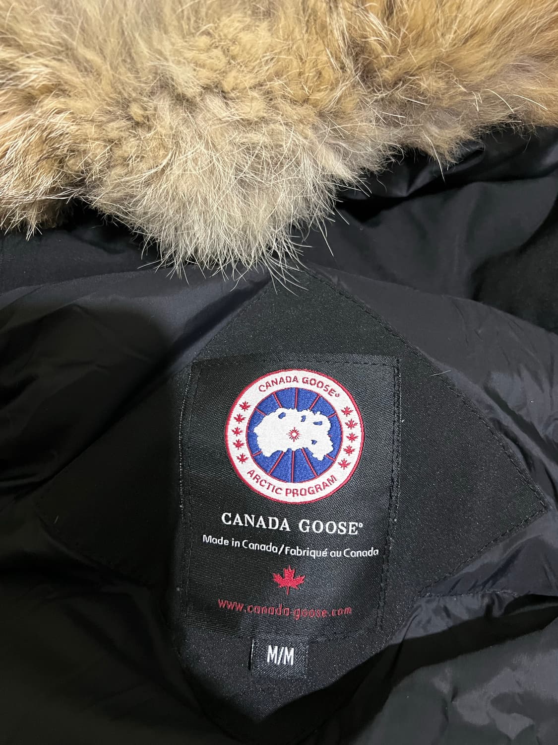 캐나다구스 상품이미지5