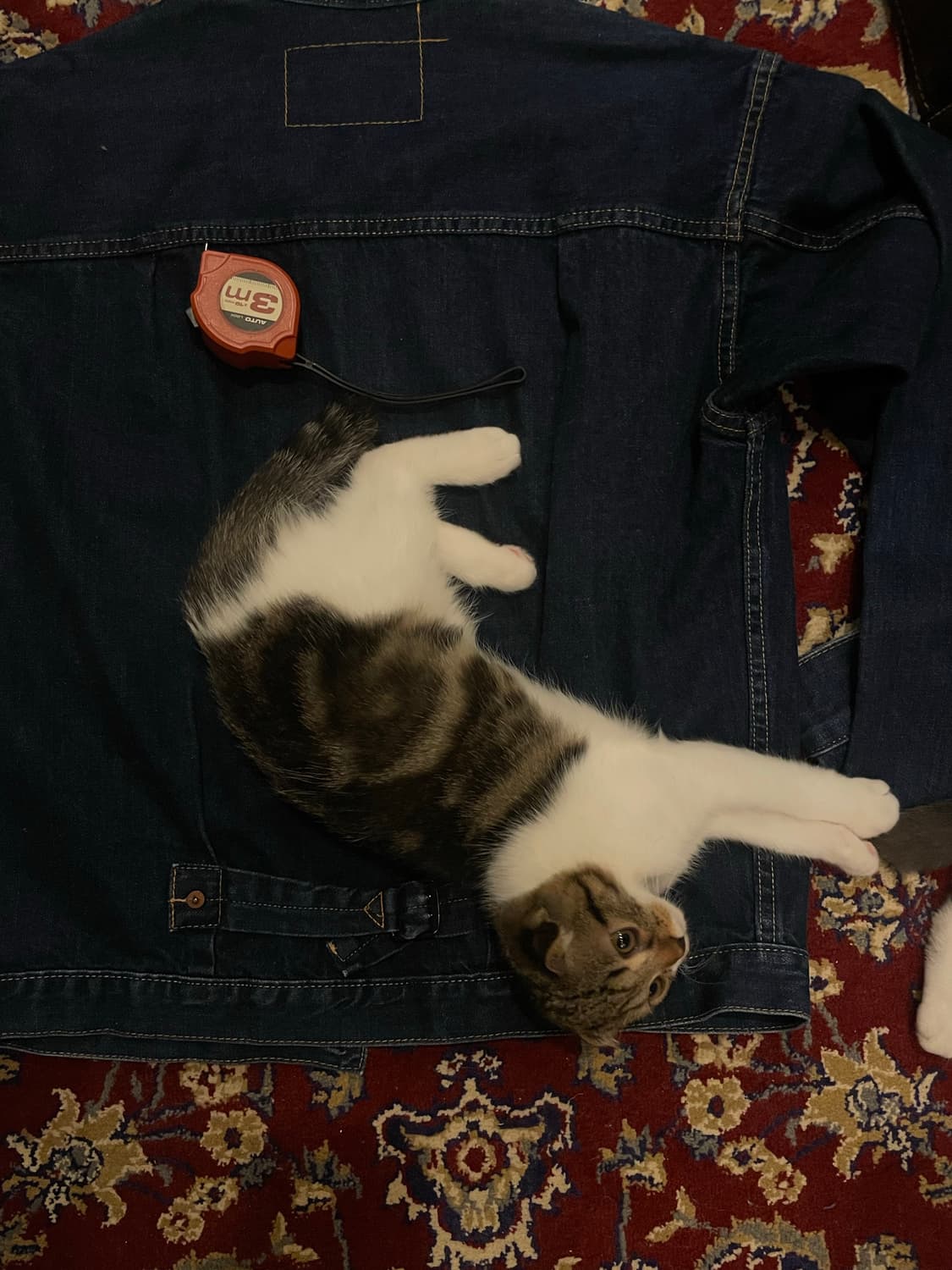 케인스 Denim Trucker Jacket V1 빈티지 데님 트러커 상품이미지3