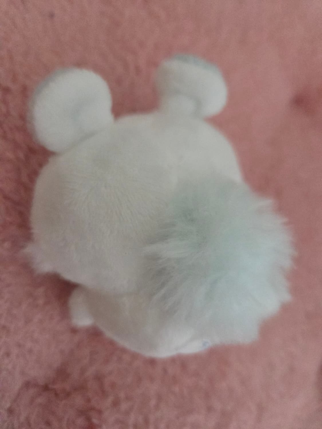 먼작귀 치이카와 모몽가 인형 새상품 상품이미지2