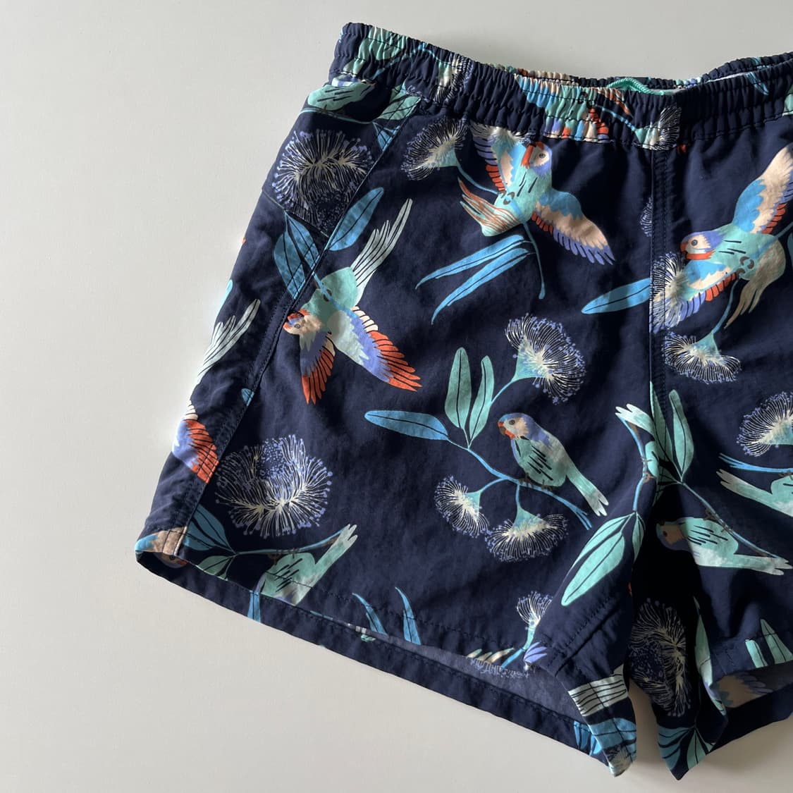 PATAGONIA Baggies Shorts (2019 Archive) 상품이미지3