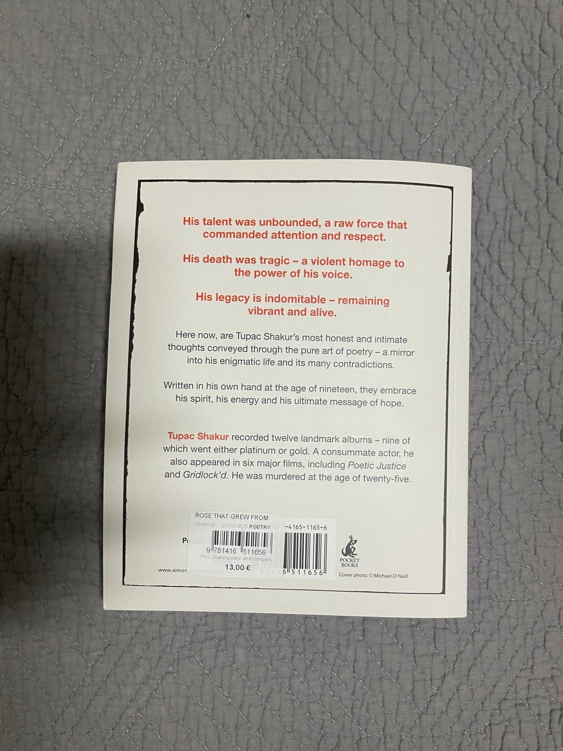 투팍 책 상품이미지2