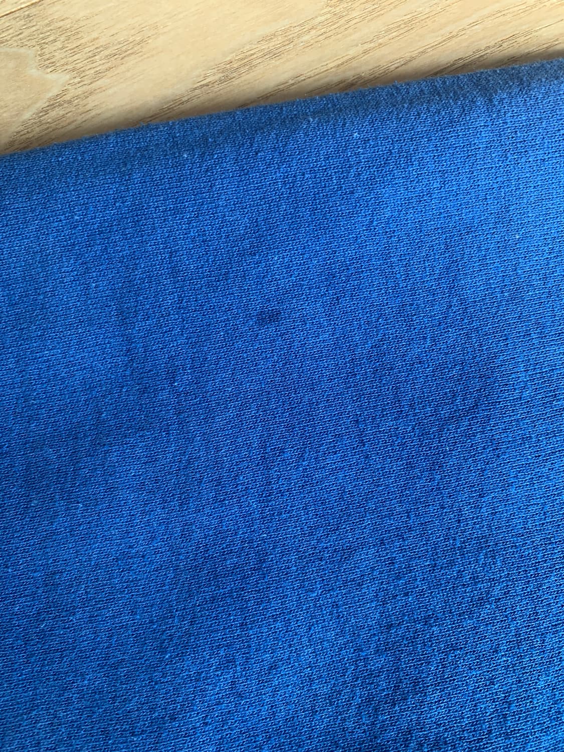 러셀 애슬래틱 플레인 스웻셔츠 XL 블루 상품이미지3