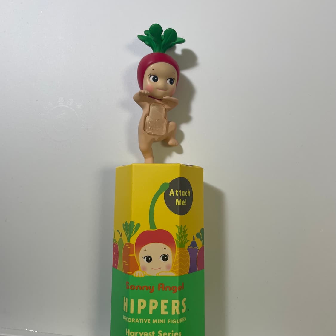 소니엔젤 히퍼 래디쉬 상품이미지1