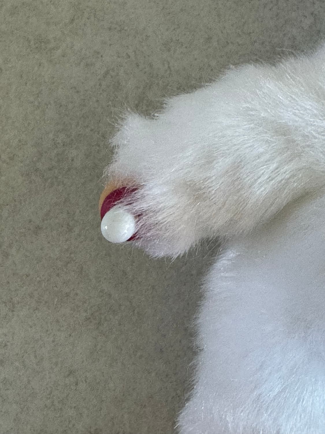 화이트 고양이 몬치치 상품이미지5